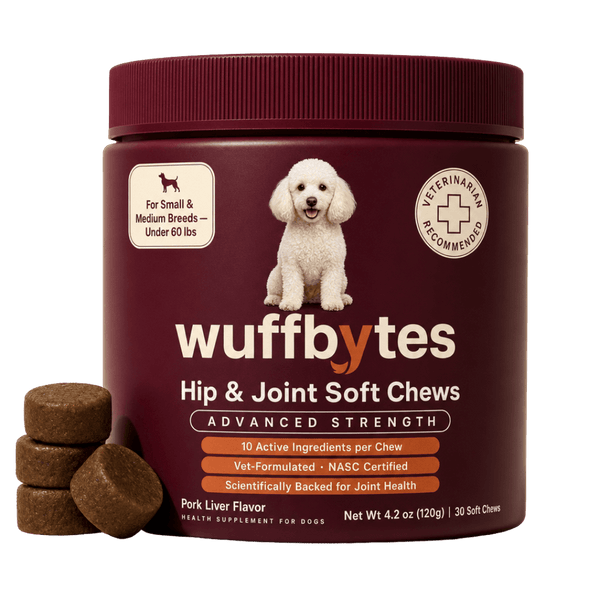 Hip & Joint Soft Chews — 30-Count