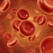 Red blood cells